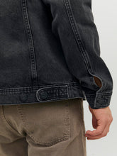 Ladda upp bild till gallerivisning, model_shot-detail

