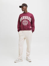 Ladda upp bild till gallerivisning, model_shot-front_full
