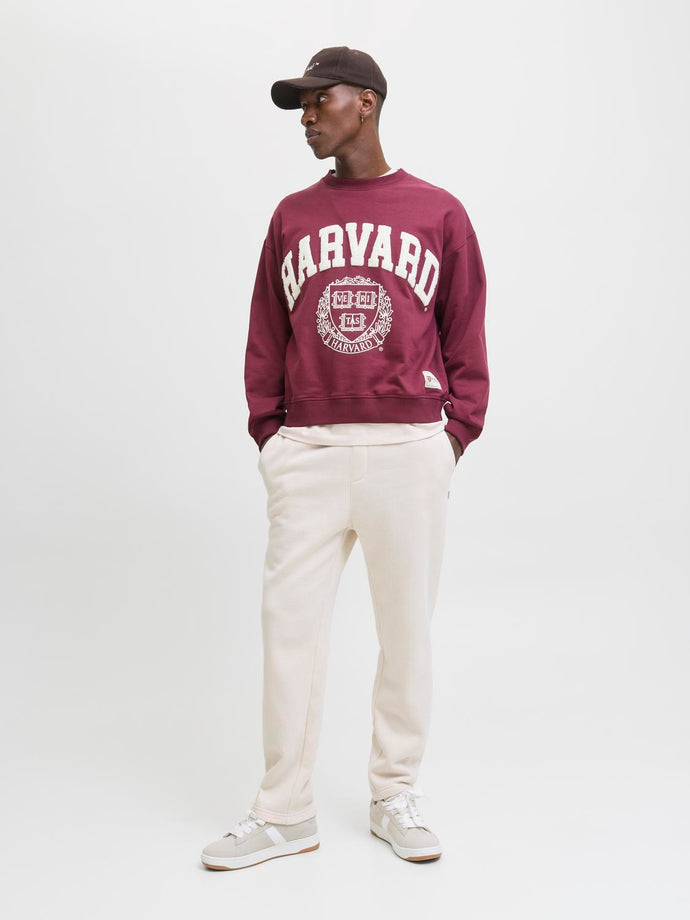 model_shot-front_full