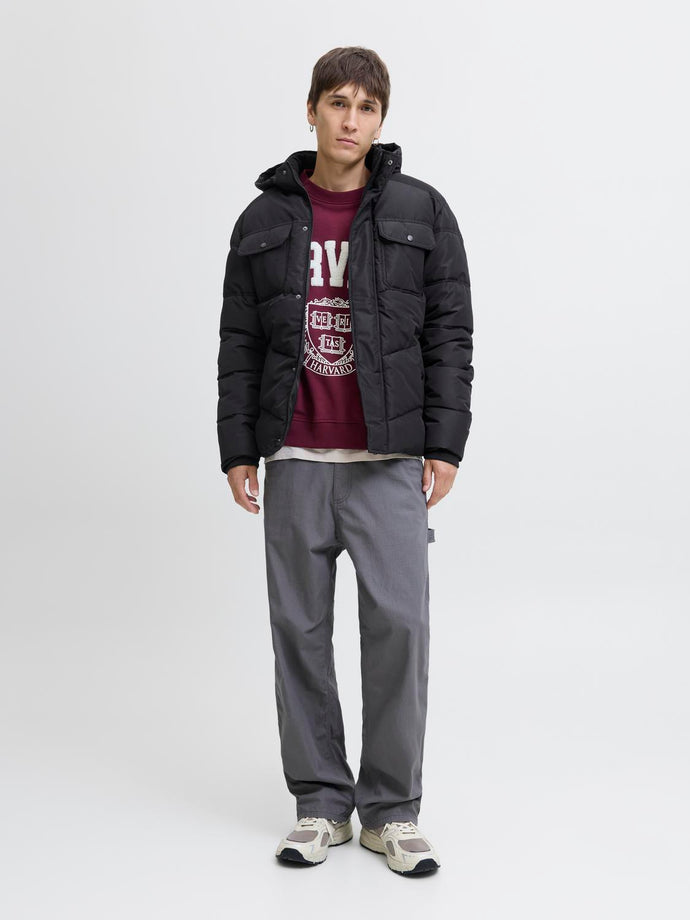 model_shot-front_full