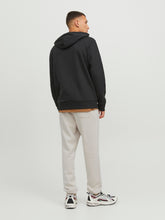 Ladda upp bild till gallerivisning, JPSTGORDON Pants - Moonbeam
